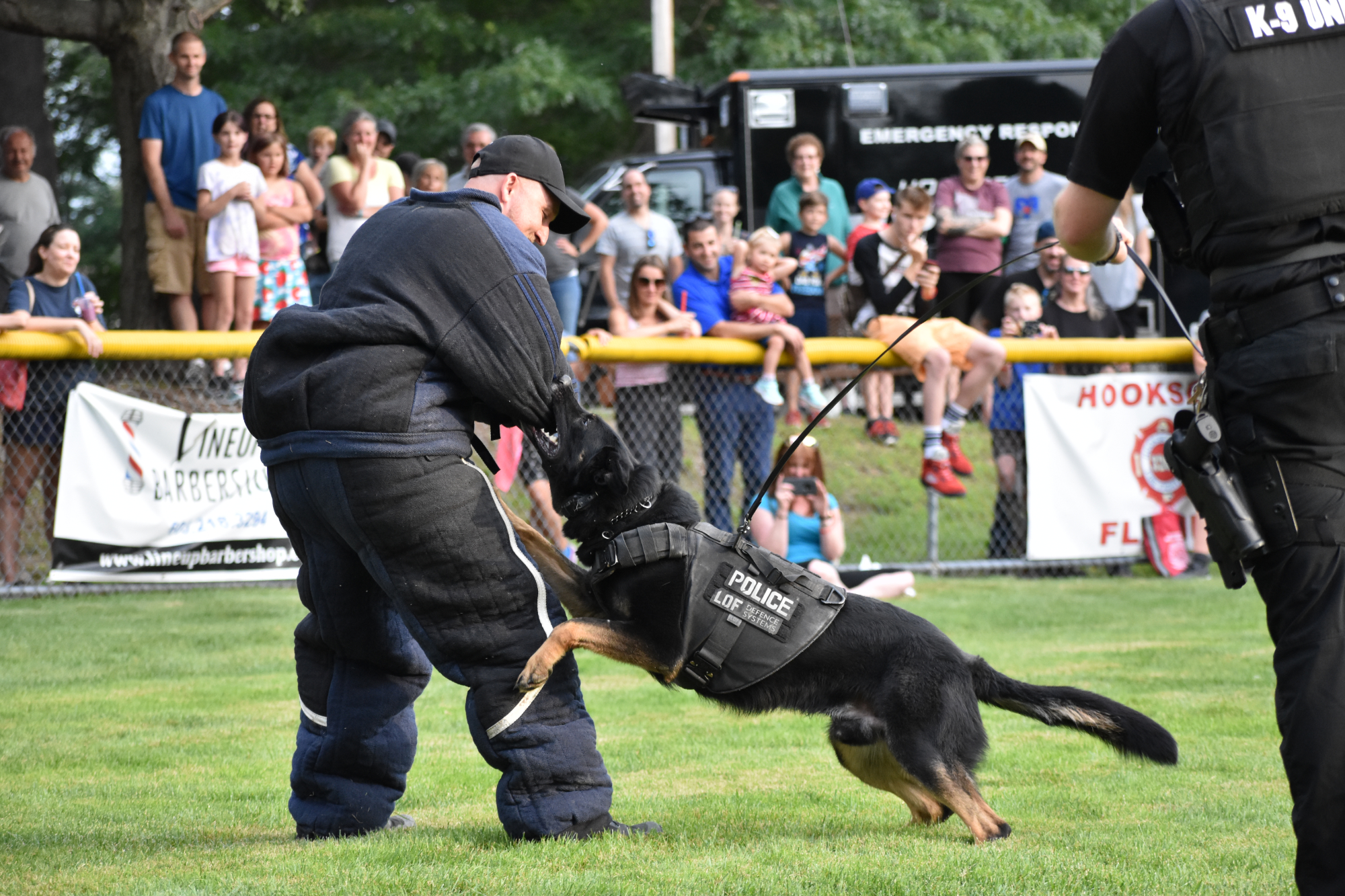 HPD_0252*
